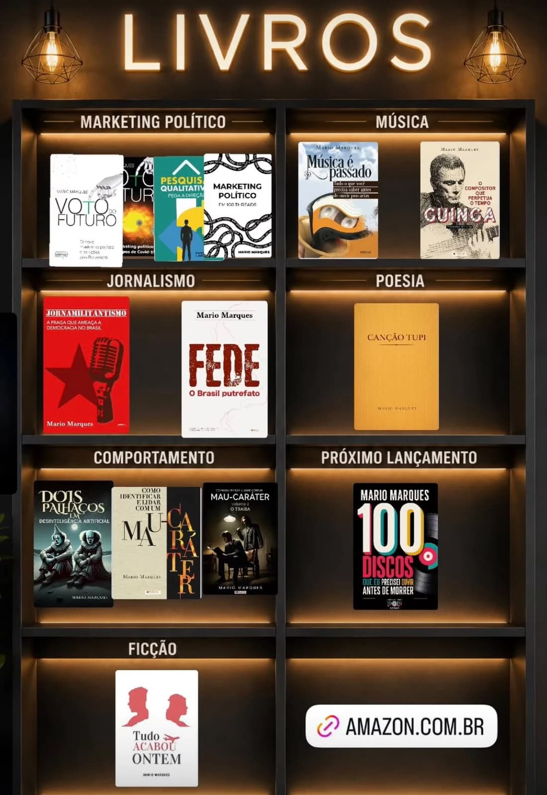 Estante da Laboratório Pop Books com livros de música, literatura, comportamento, poesia e marketing político